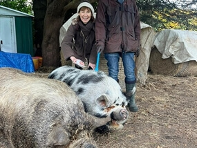 Customer Photo of Pig Experience in Norfolk for Two